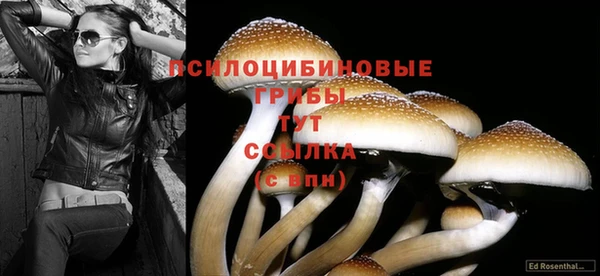 тгк Тобольск