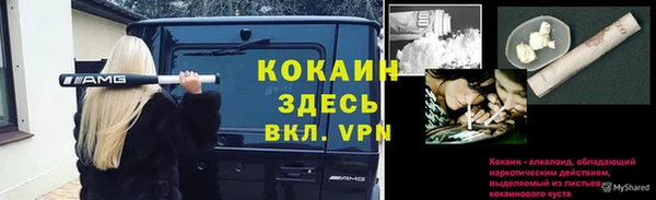 прущий лед Тихвин