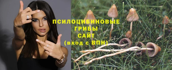 тгк Тобольск