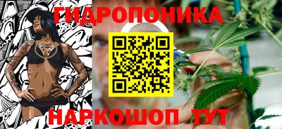 таблы Новодвинск