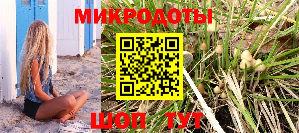 Галлюциногенные грибы Psilocybe Реутов