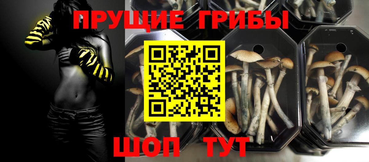 купить закладку  Галлюциногенные грибы Psilocybe  Реутов  Вход с VPN  Галлюциногенные грибы GOLDEN TEACHER 