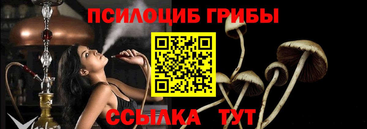 Псилоцибиновые грибы Magic Shrooms Реутов